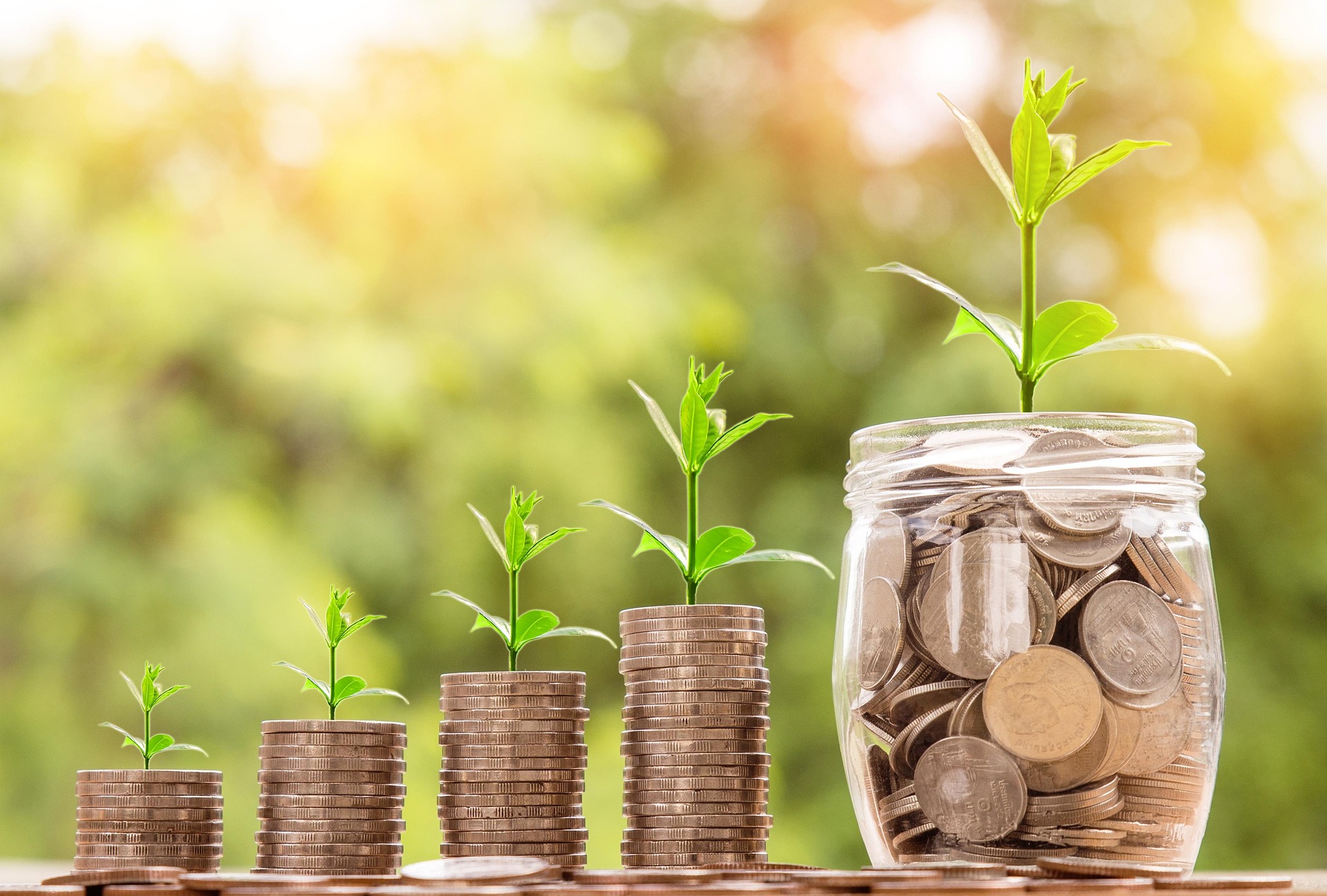 Microfinance